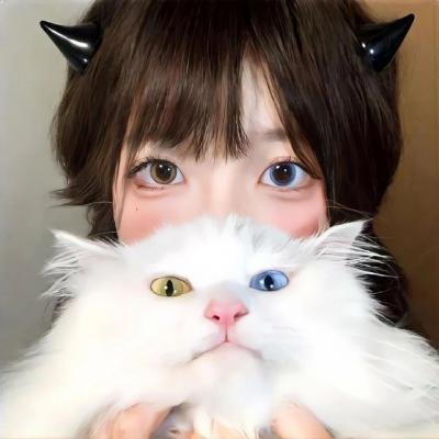 相棒シリーズ X DAY